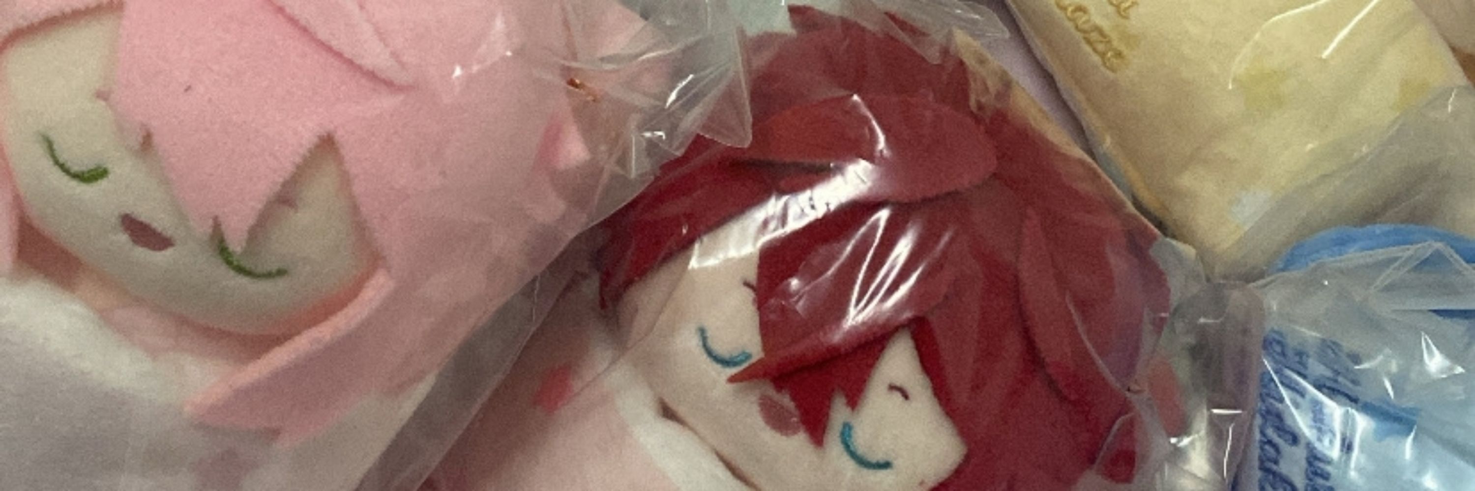 Shun/lavi