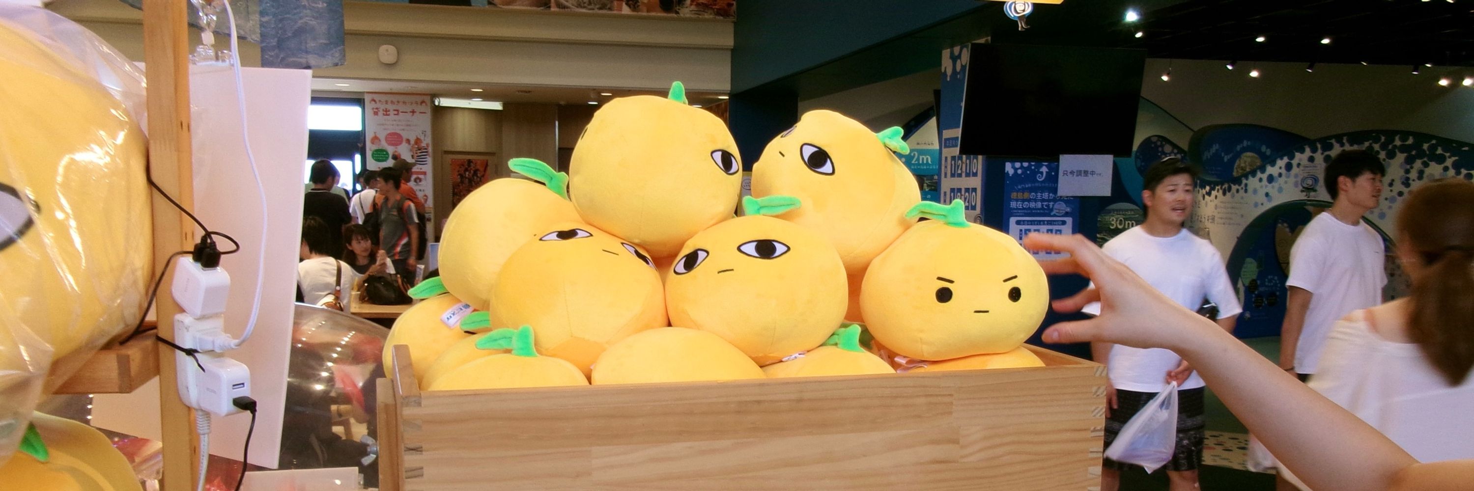 🍊