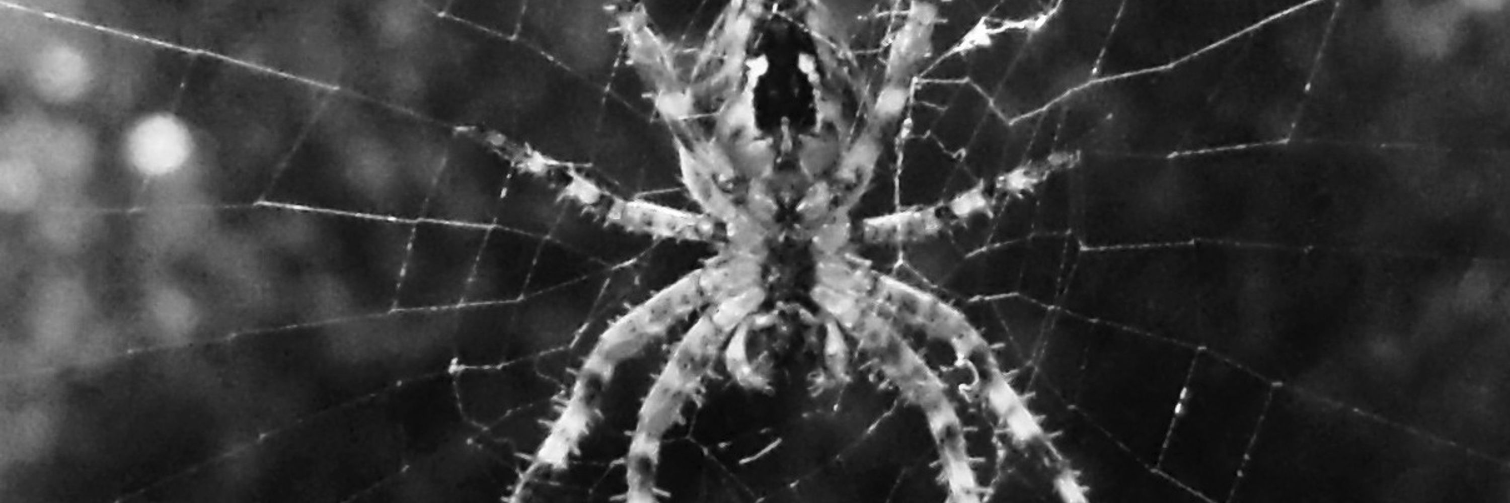 GloomyValor