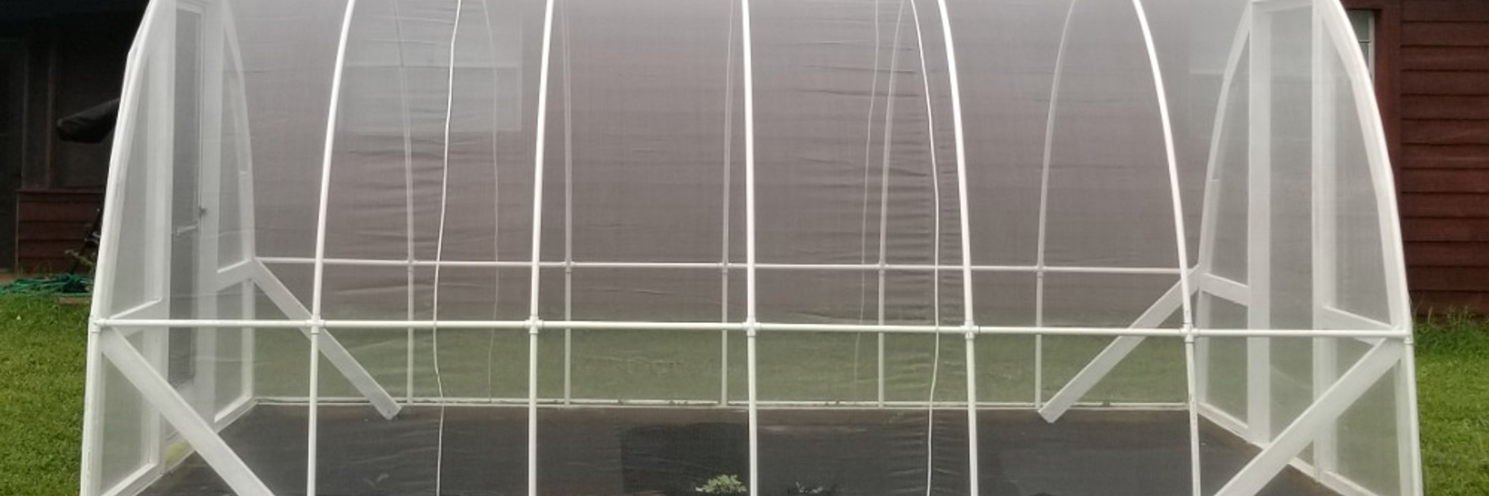 Let's Grow Plants