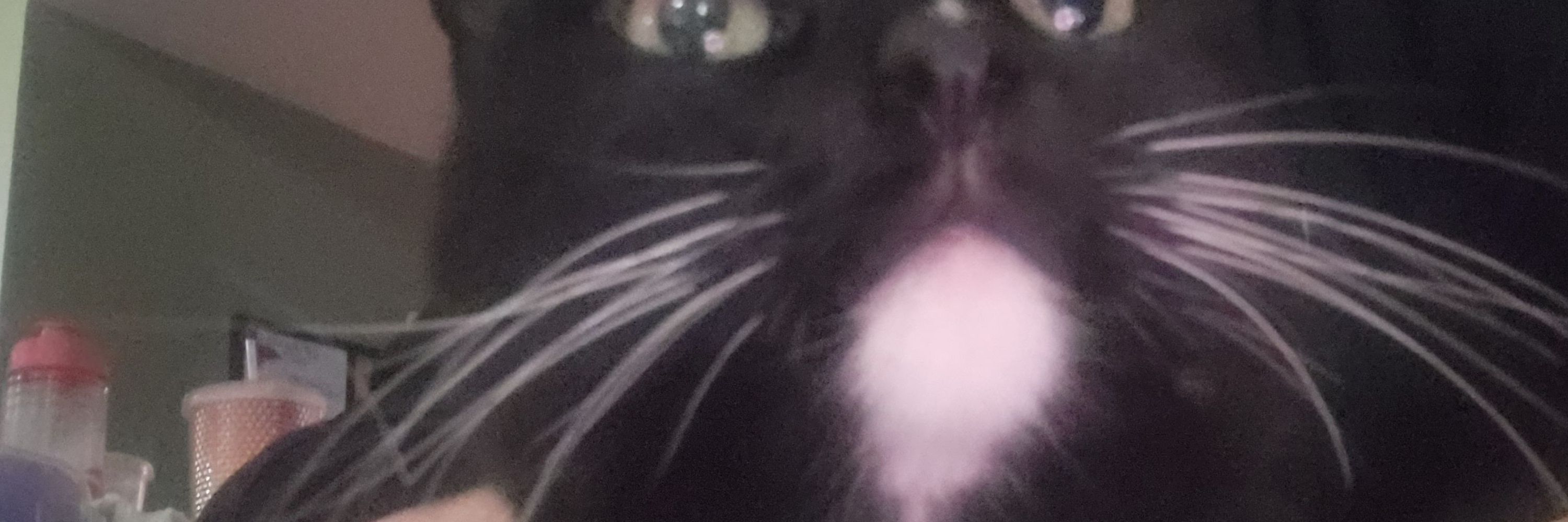 Kegan