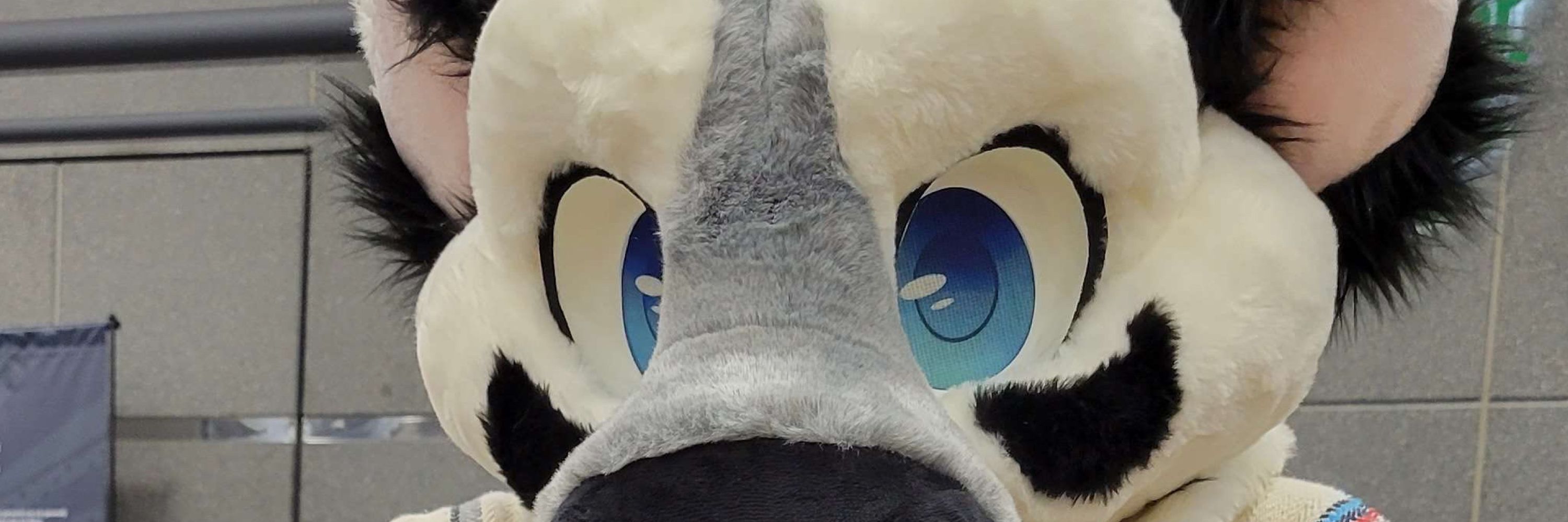 Cris the moo