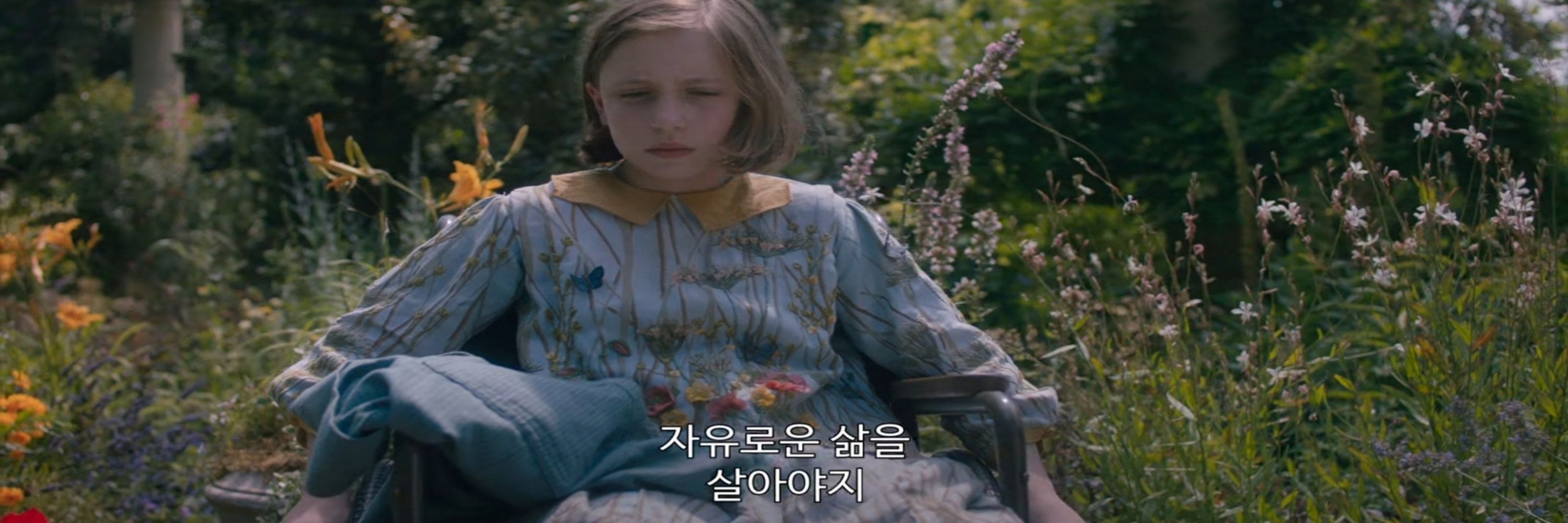 홍학