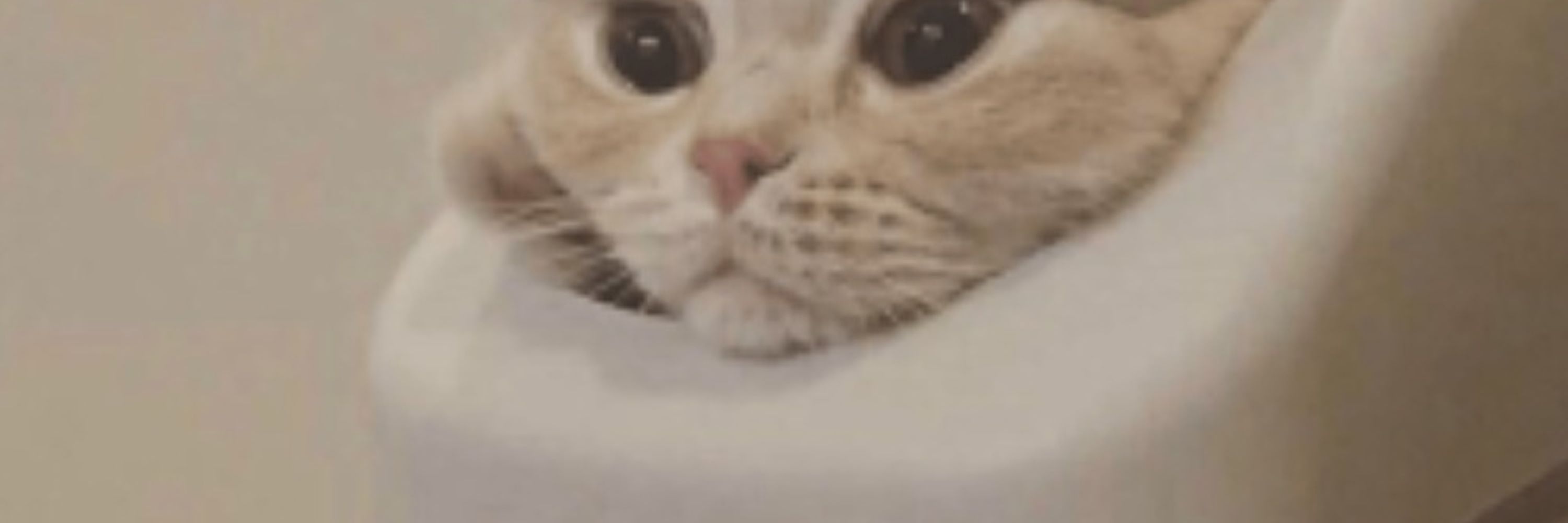 nyko