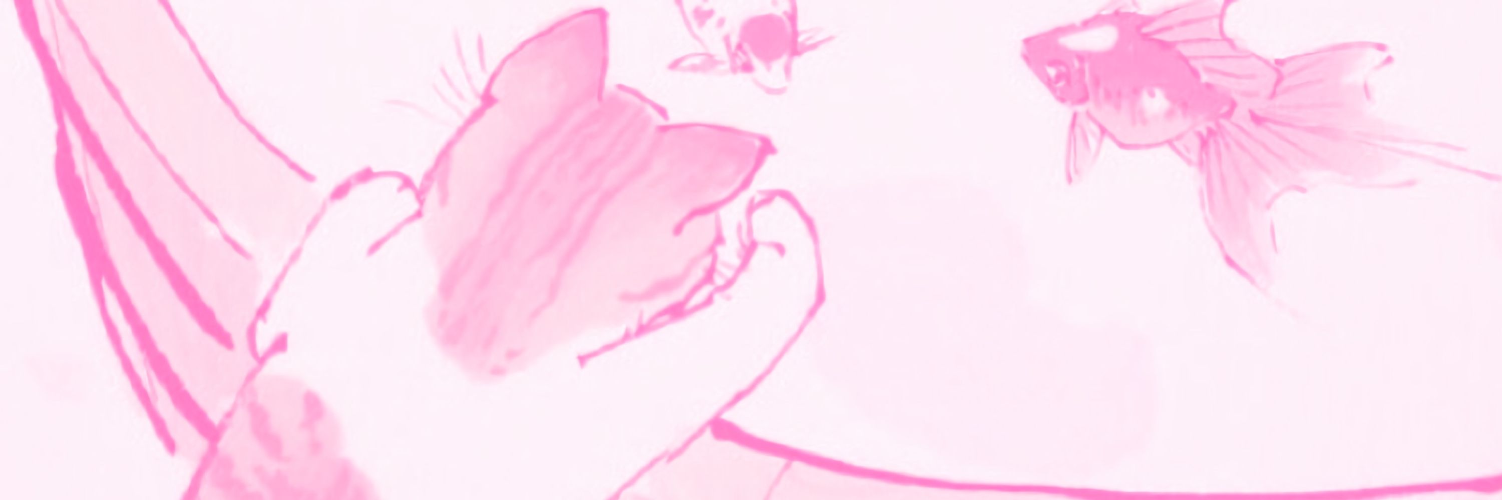 𝙻𝚢𝚌𝚑𝚎𝚎 ♡