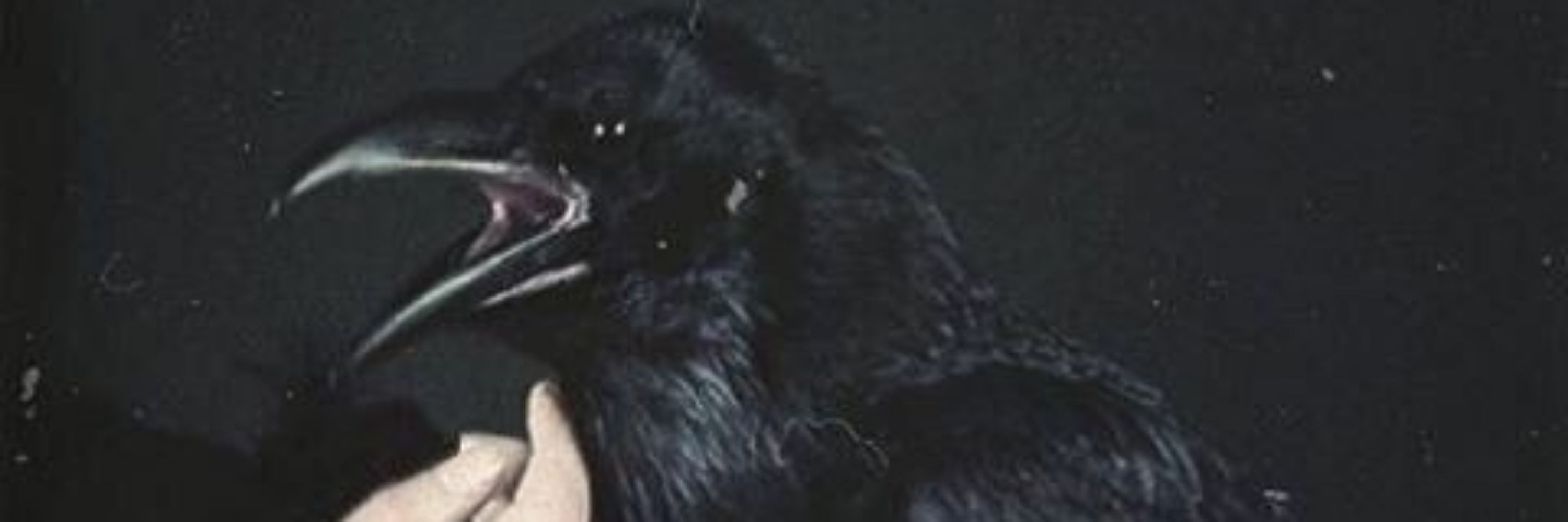 Lua 