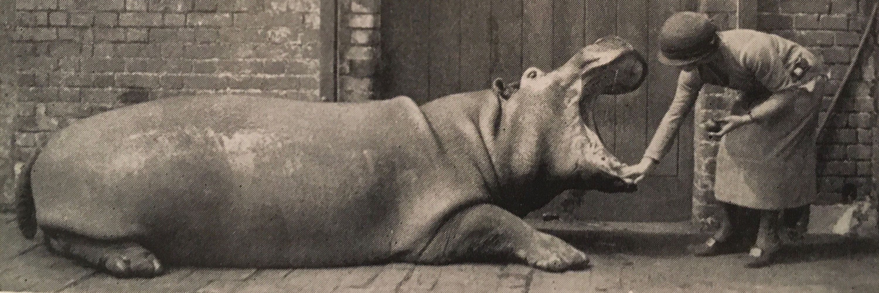 Max Long