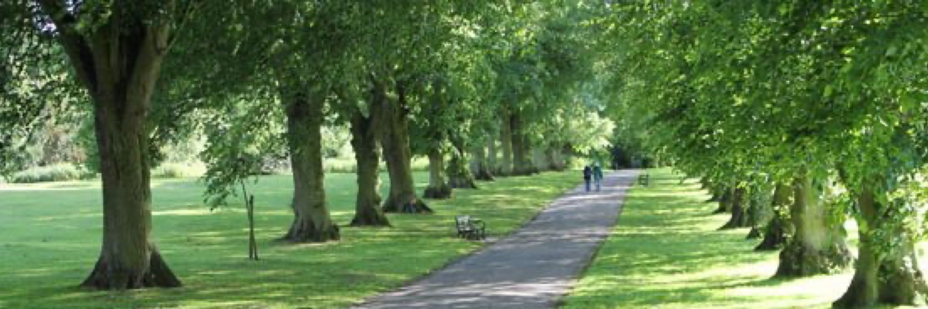 Harpenden