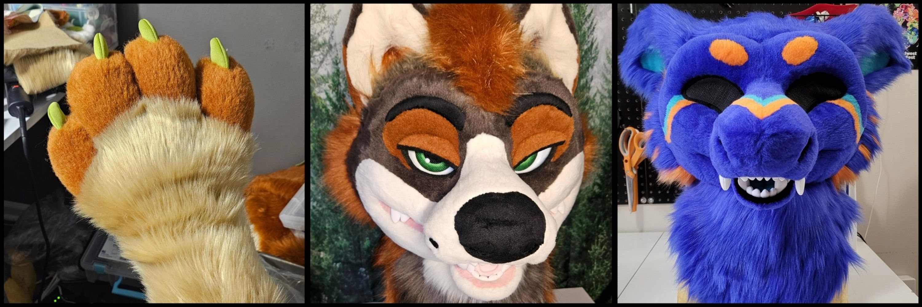Mossy Coyote