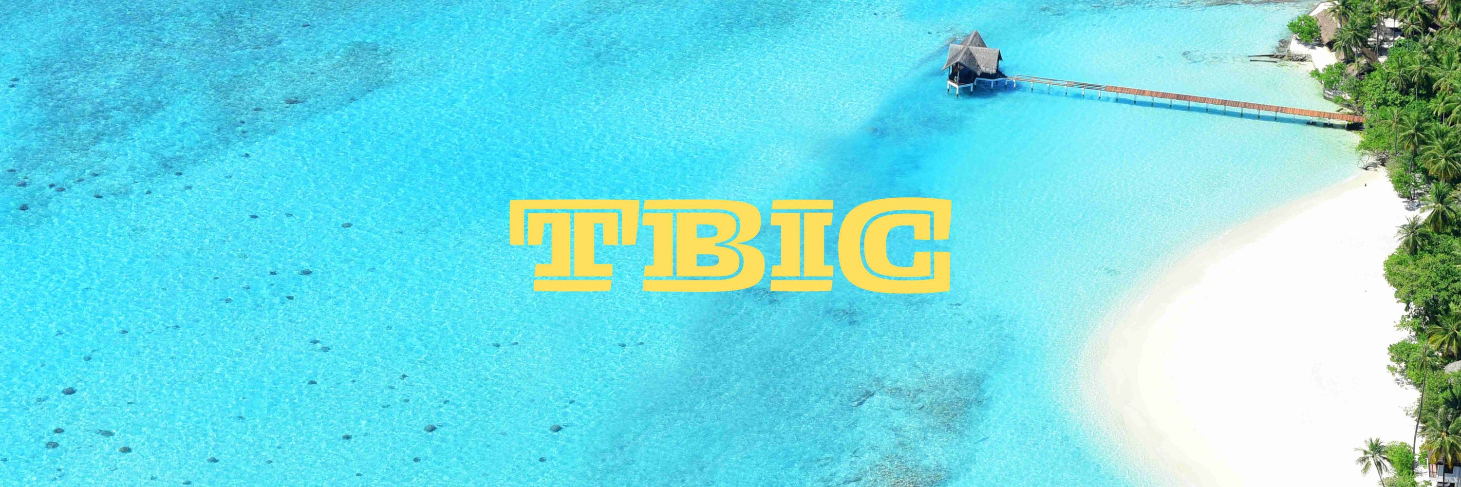 The Bird's Island Challenge