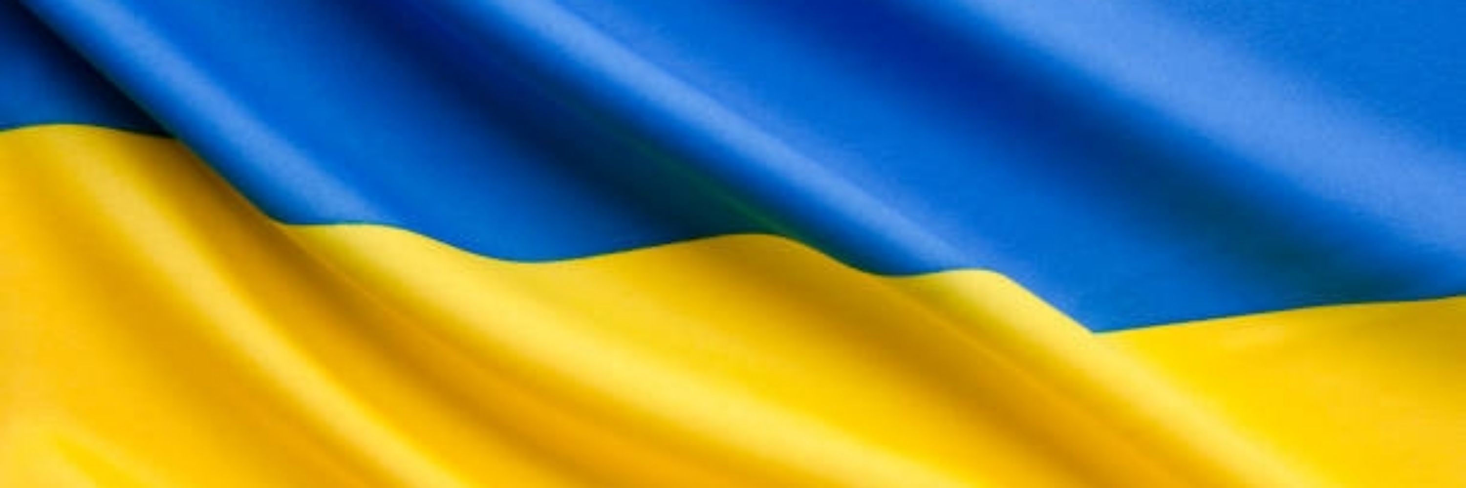 Another Fella from twatter🇺🇦🏳️‍🌈