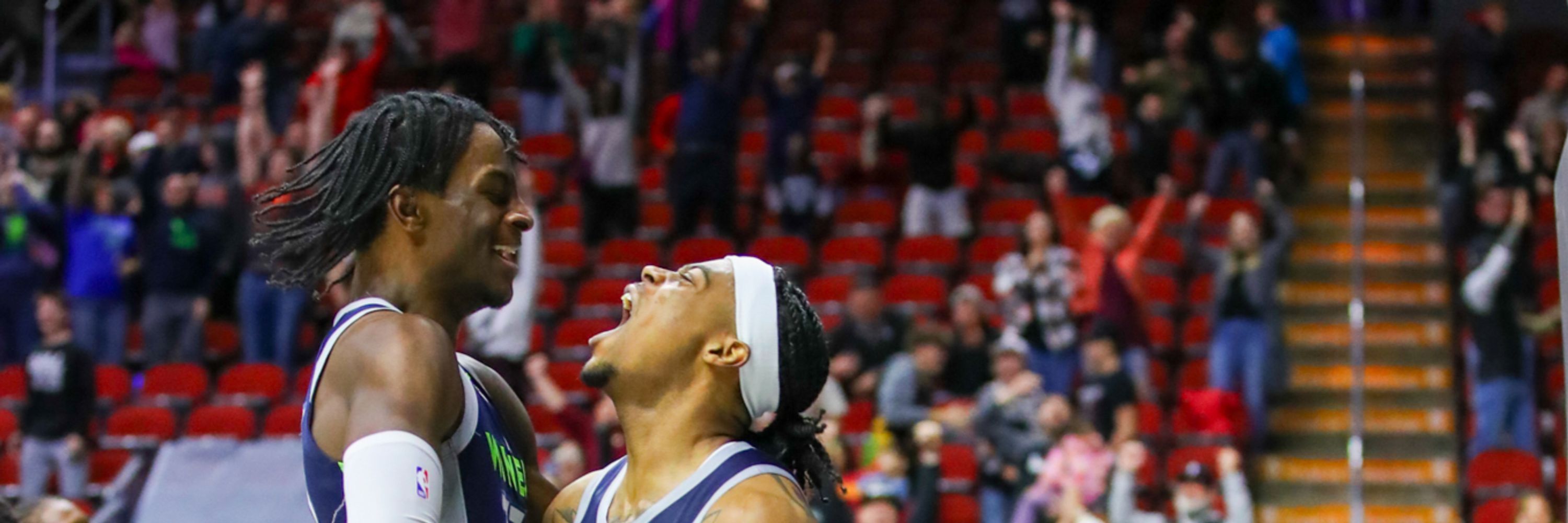 Iowa Wolves