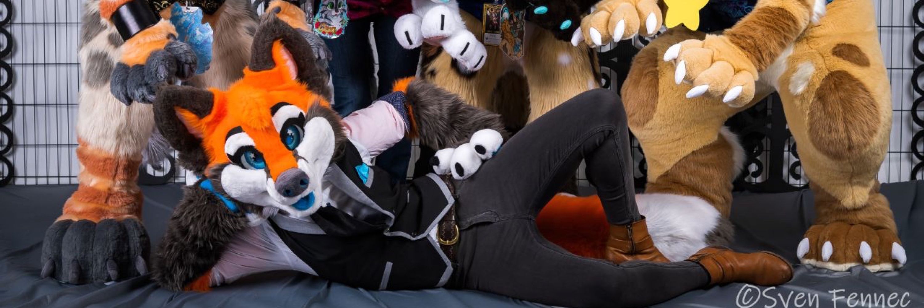 Tess ➡️ AnthroCon