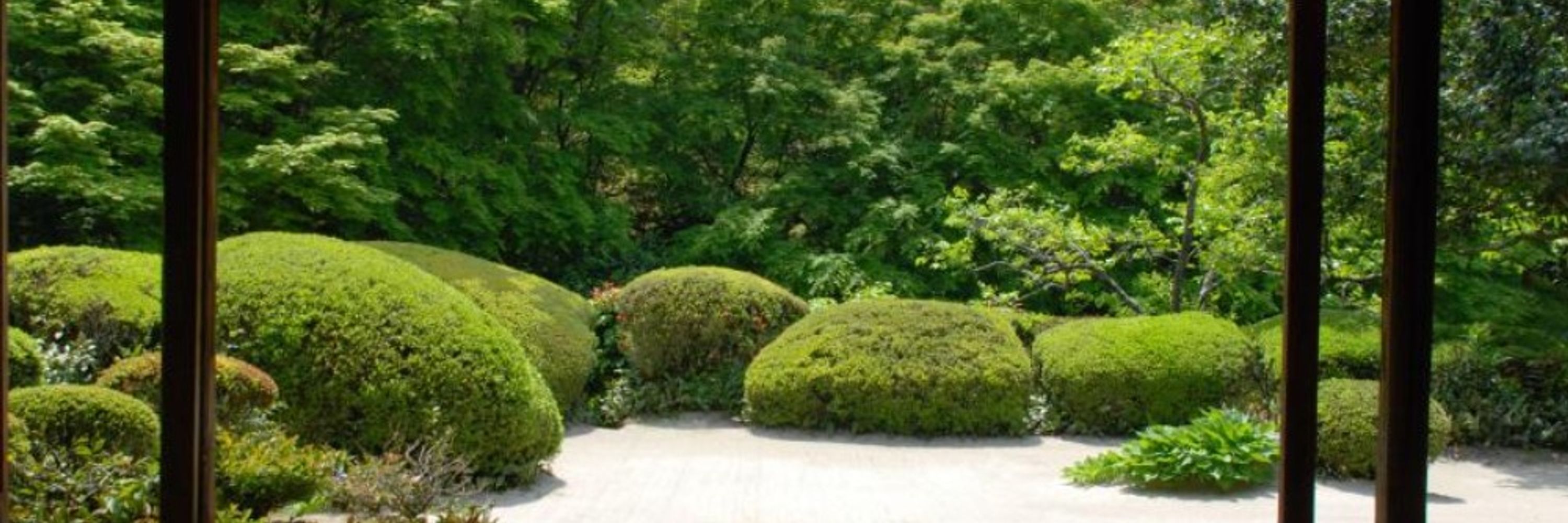The Garden