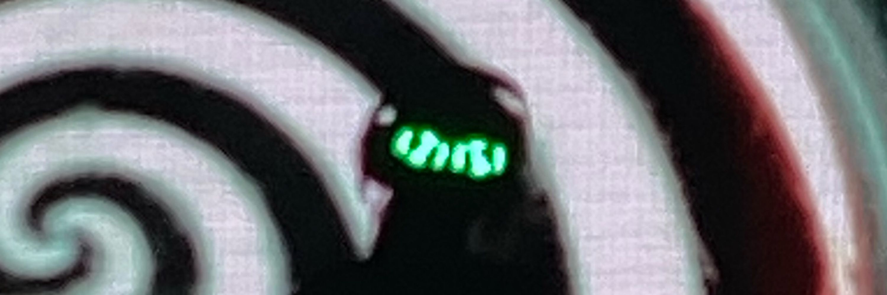 cam