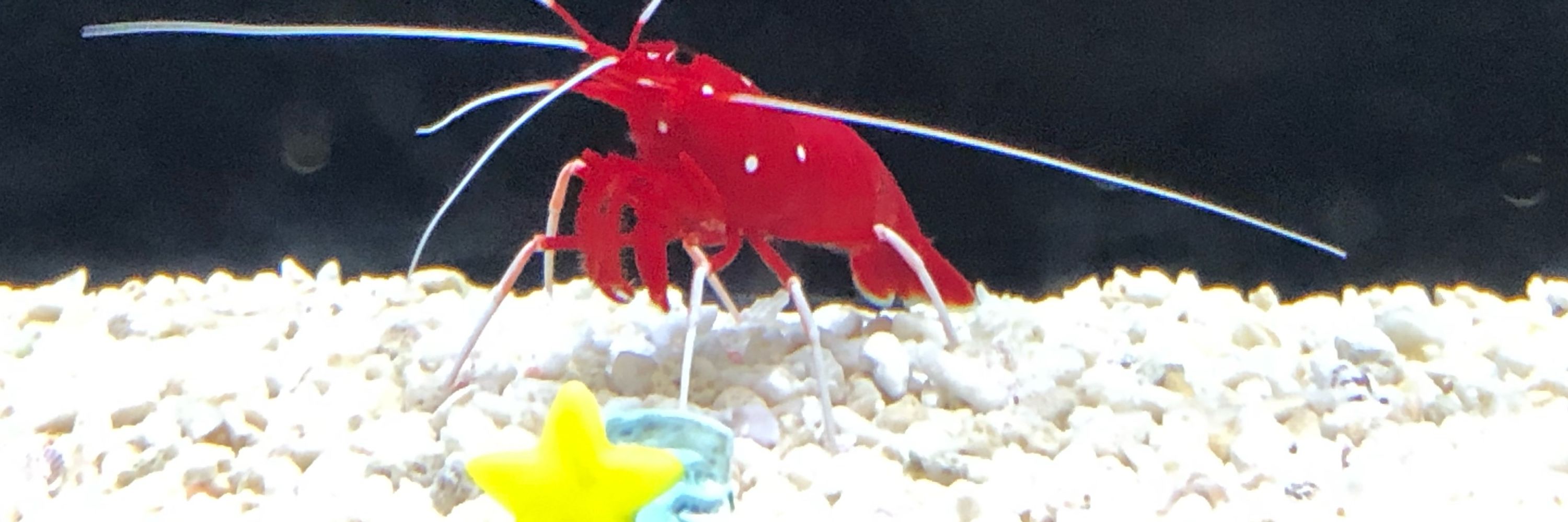 はまだ:D☀️