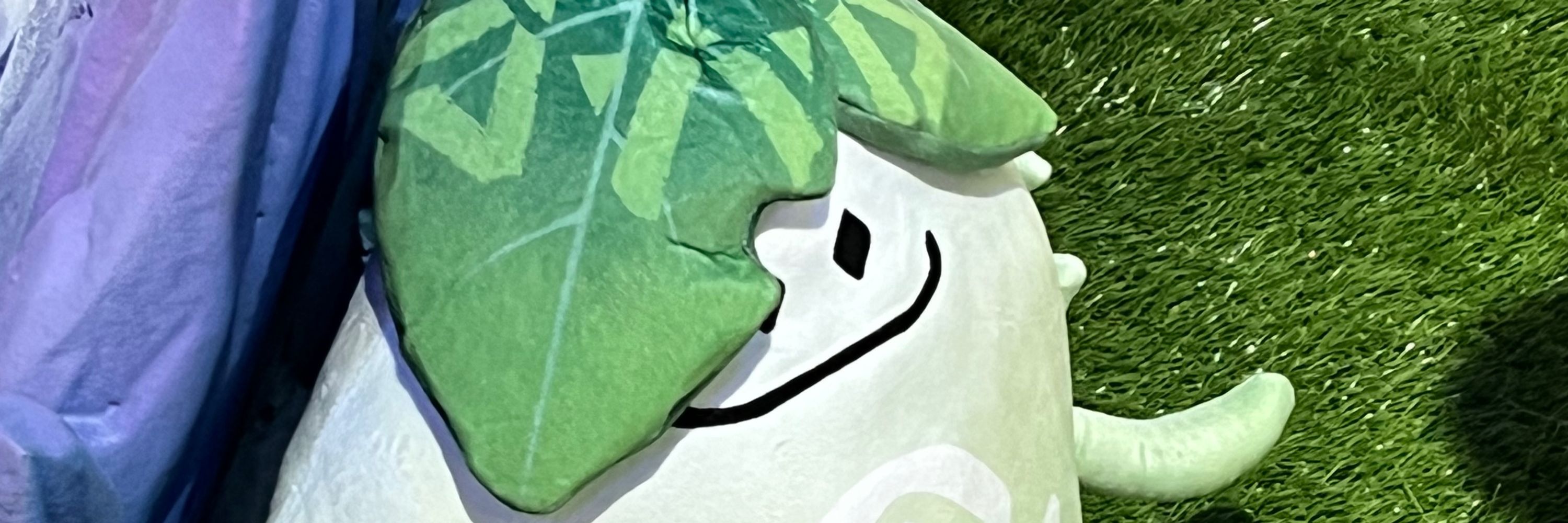 キウィ