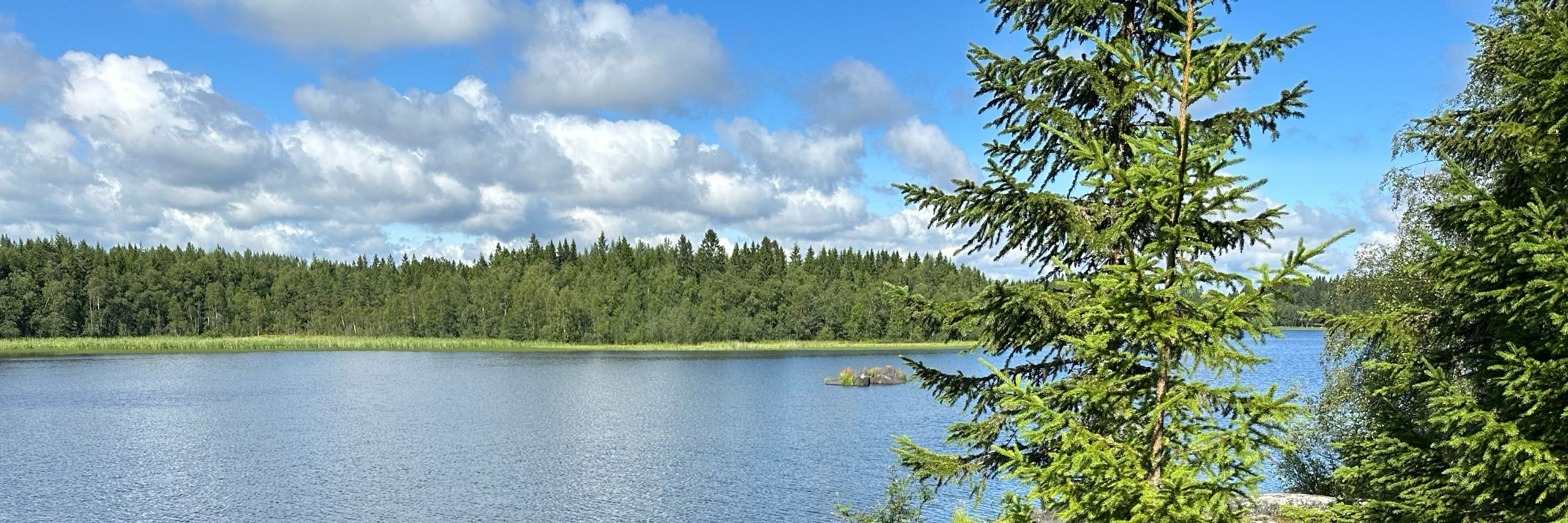 frysk hyndertsje