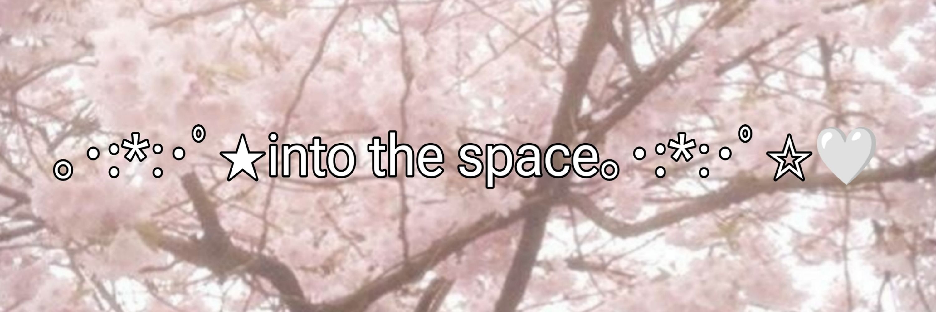 ｡･:*:･ﾟ★into｡･:*:･ﾟ☆💚