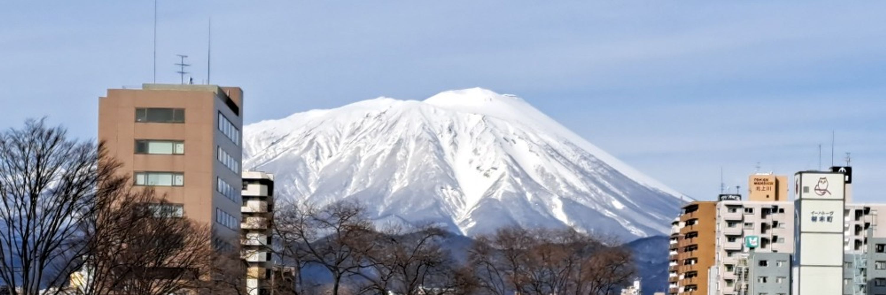 kubotaya