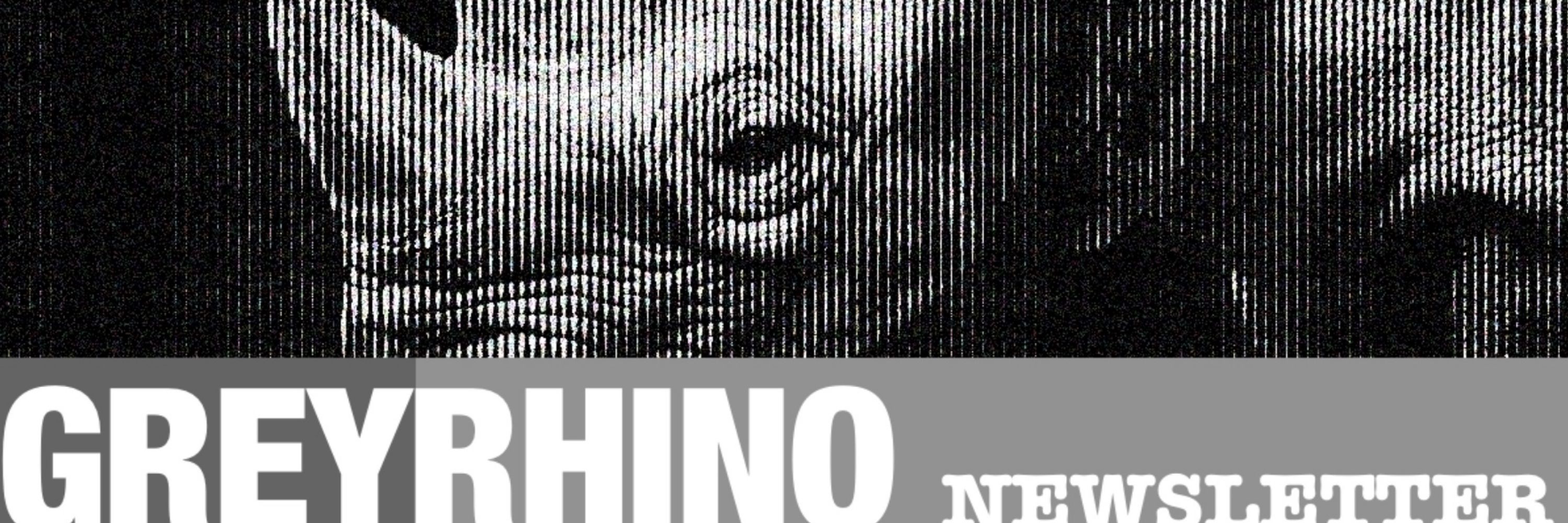 The GreyRhino newsletter RoundUp by iMB.Solutions
