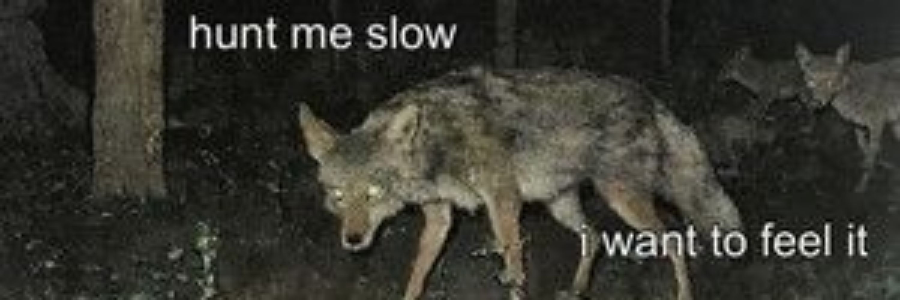 Prince of the wolves 