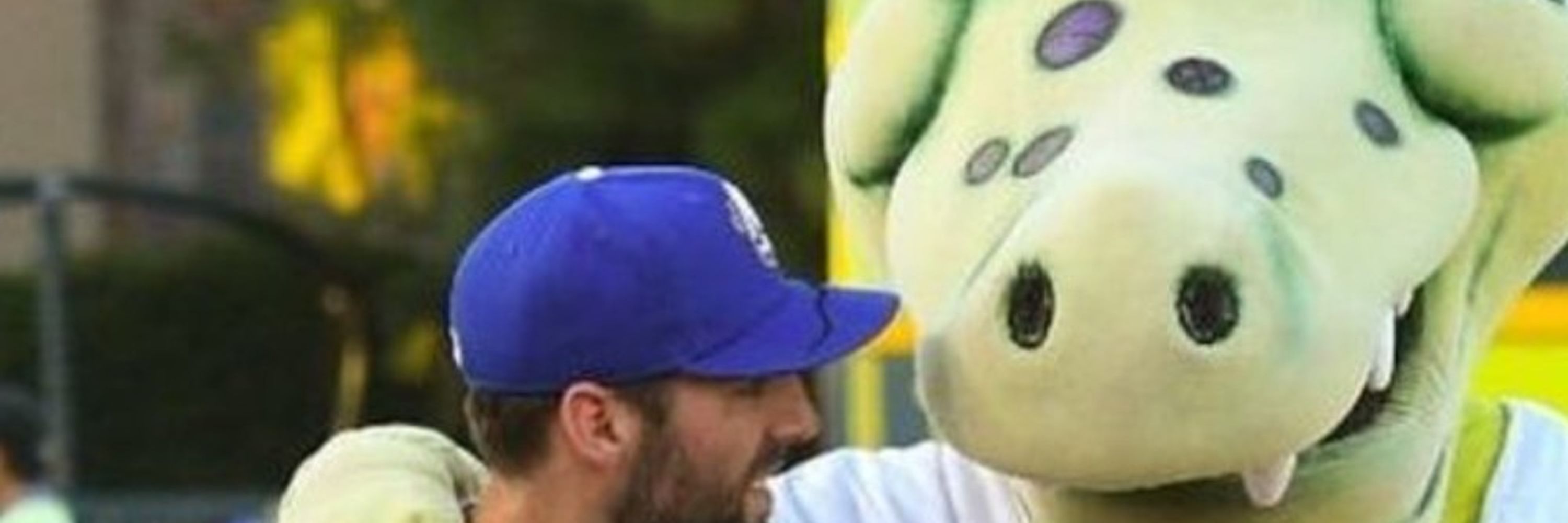nerdydodger