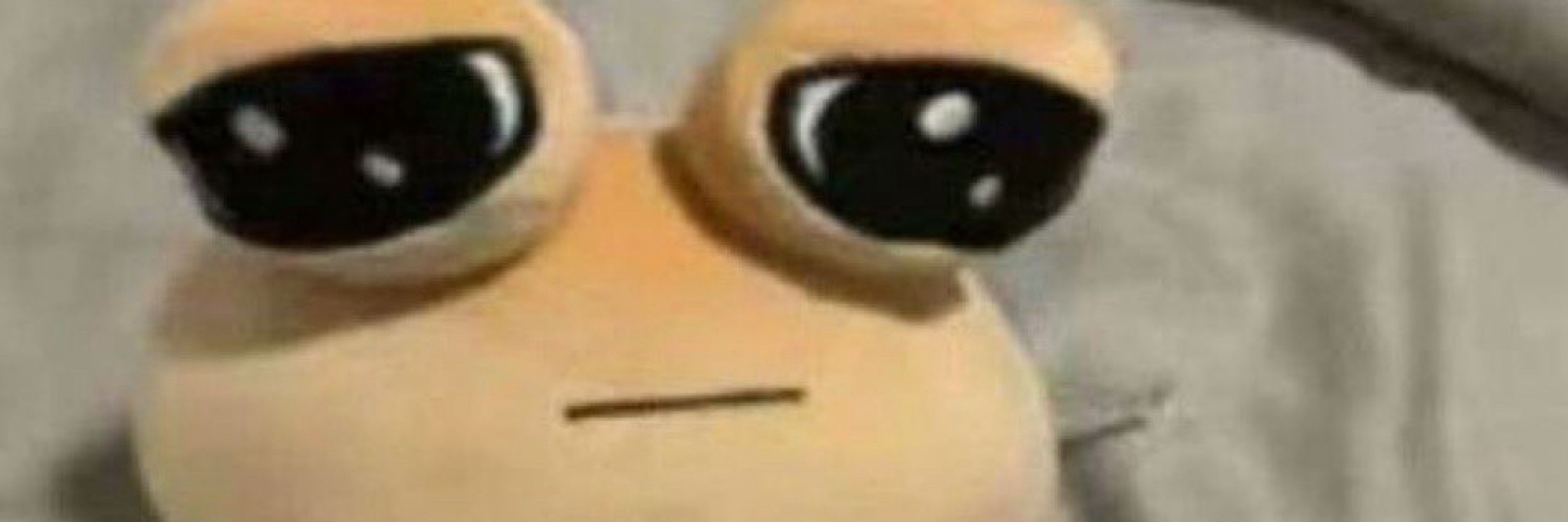 Bruh_Inc