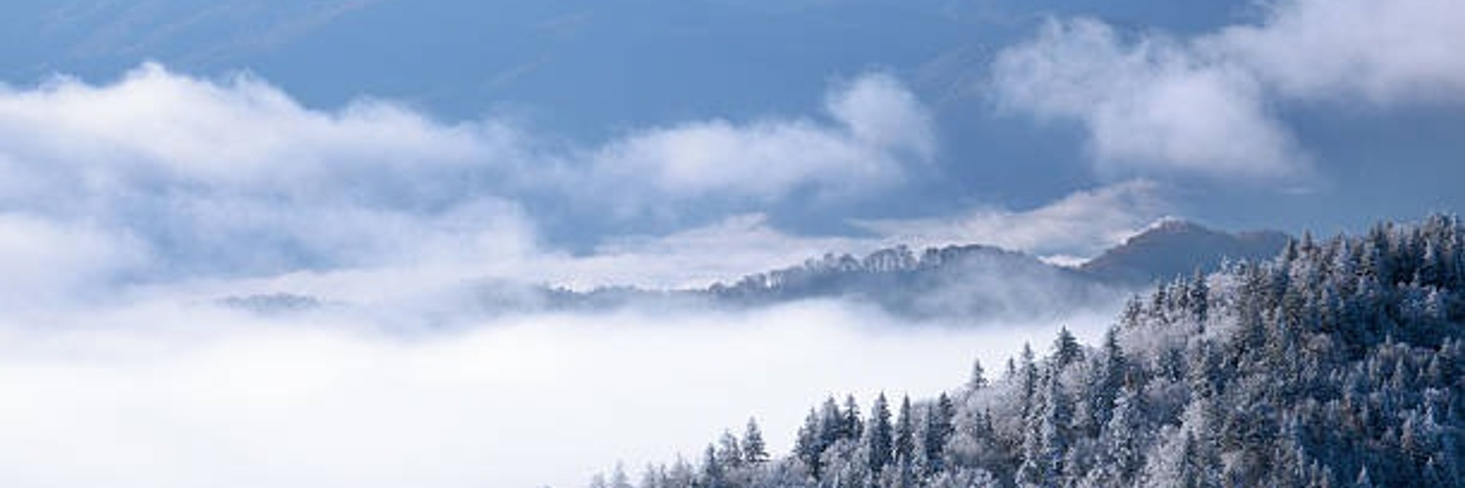 Great Smoky Mountains