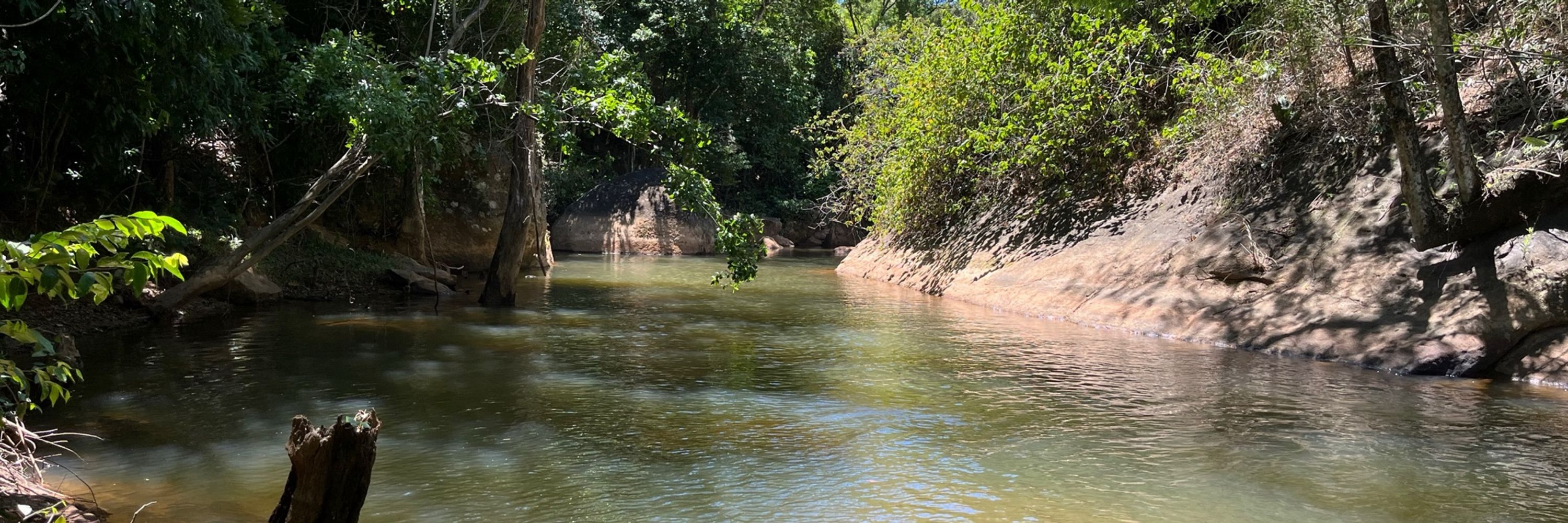 Isabel RD Paraguassu