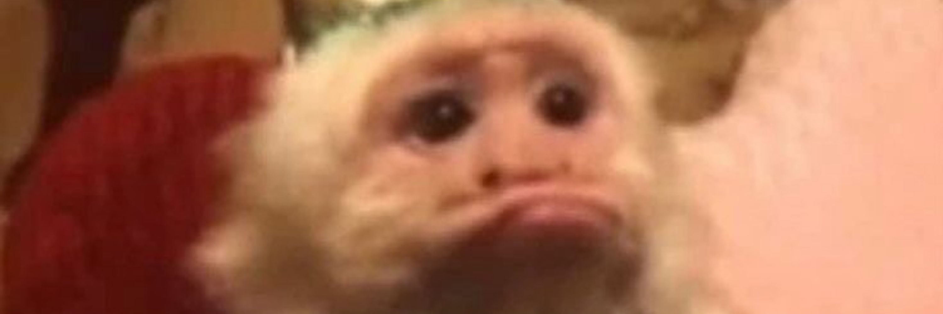 Mi