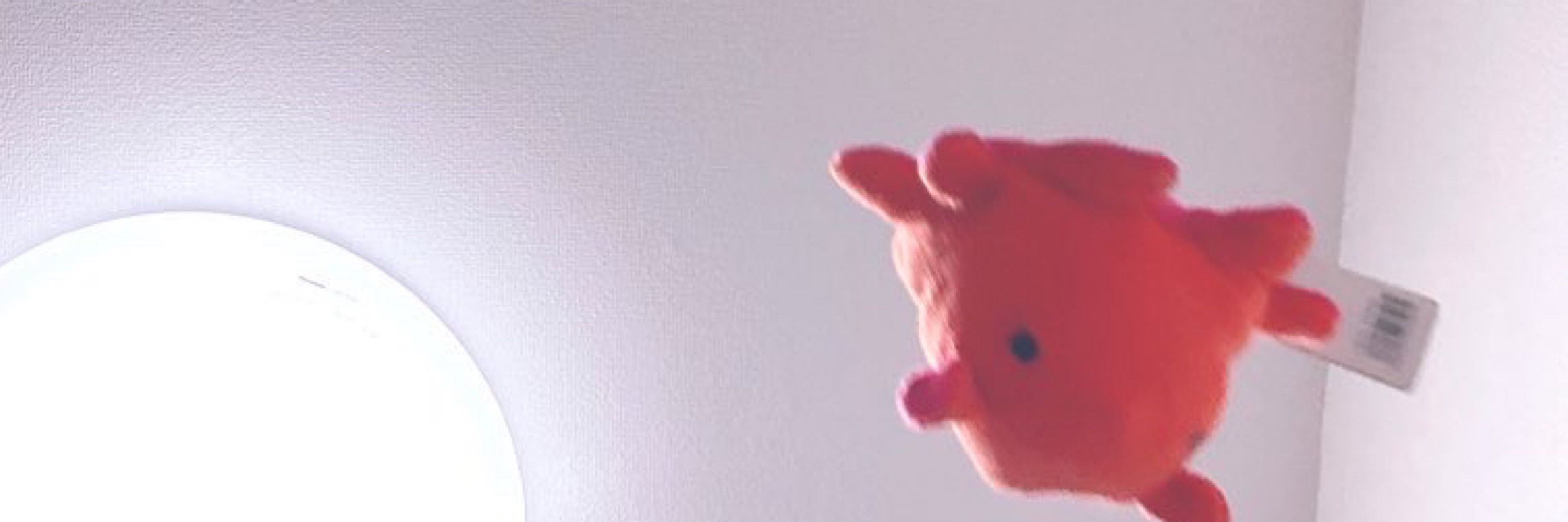 ひな