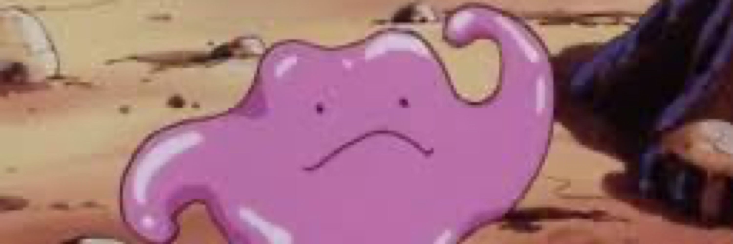 Crayg