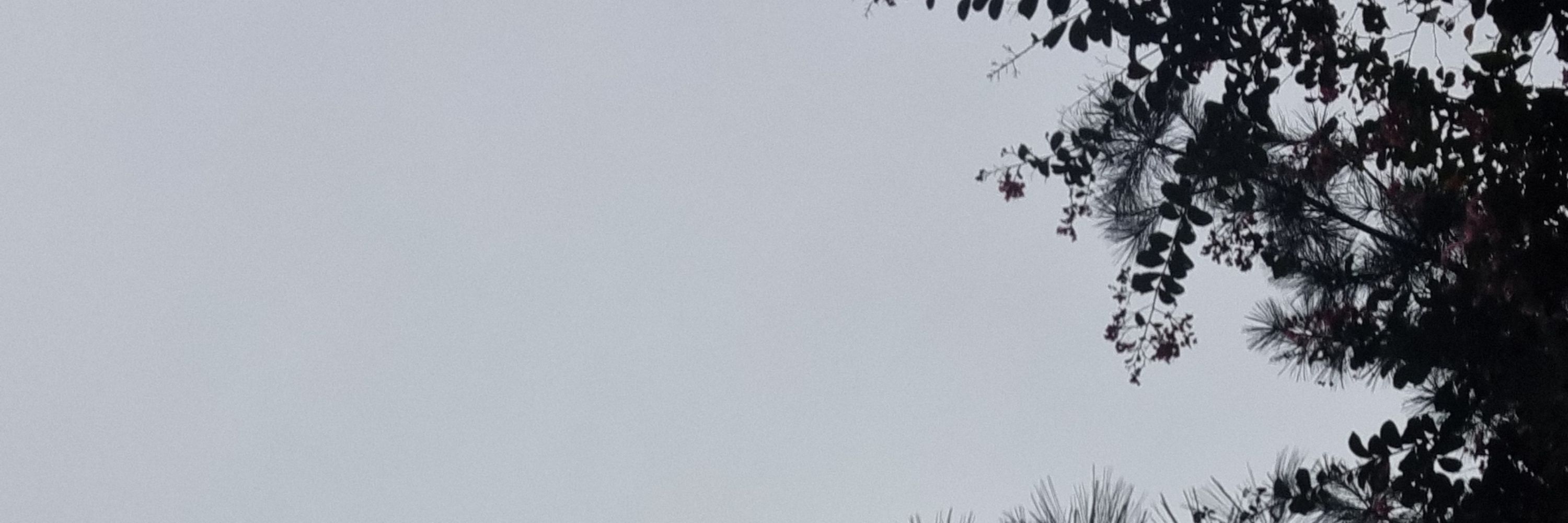 김마리