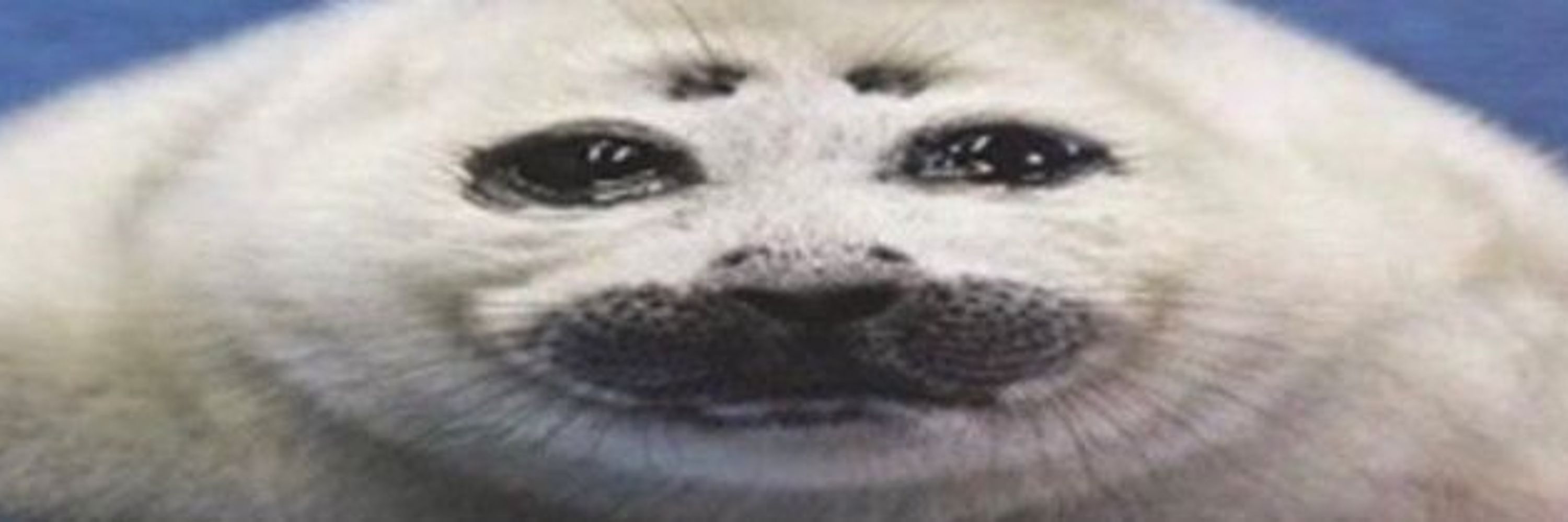 vale