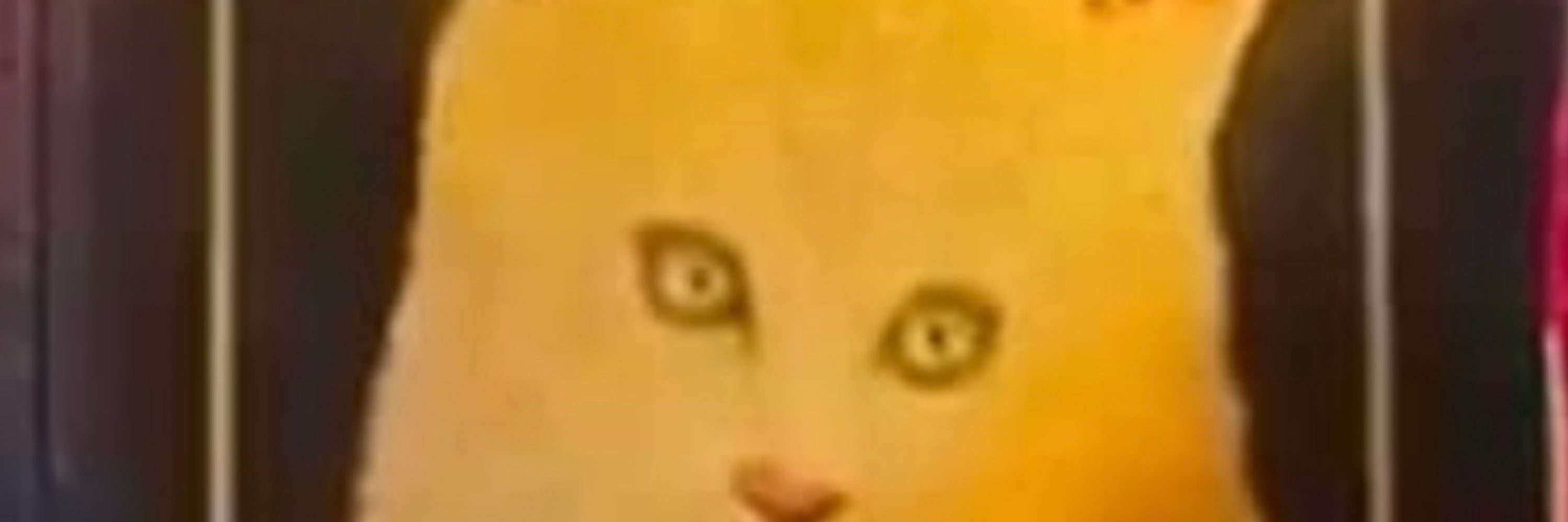 Farfetchd01