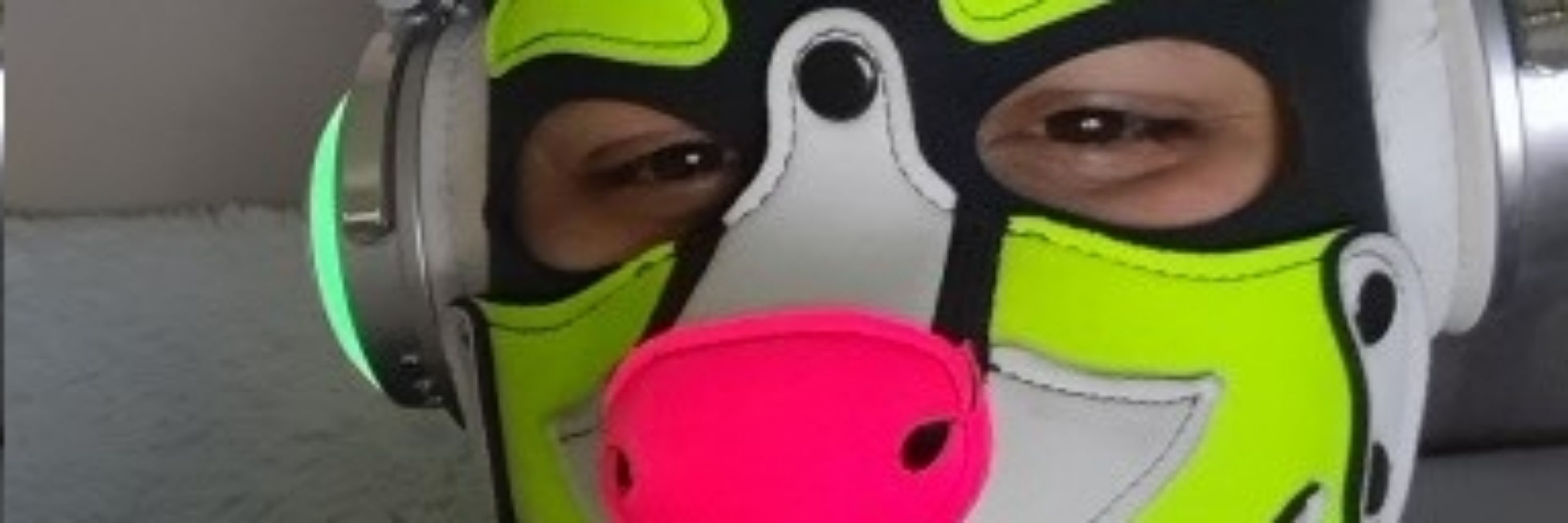 Pup_Bones