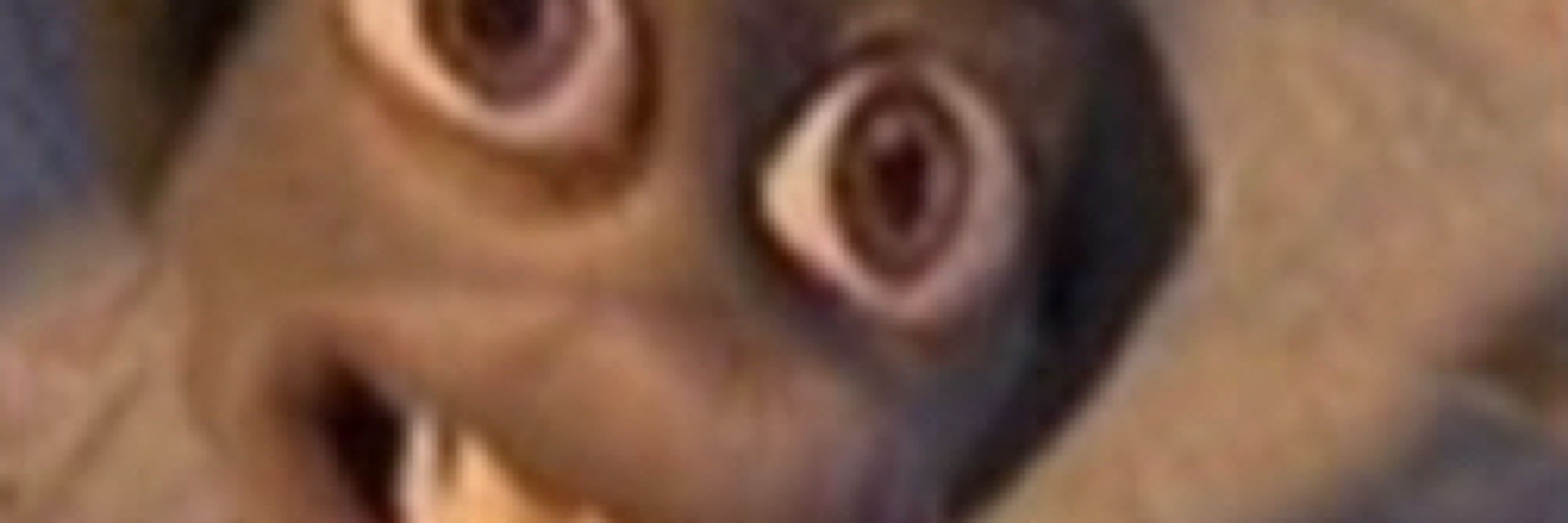 Gu