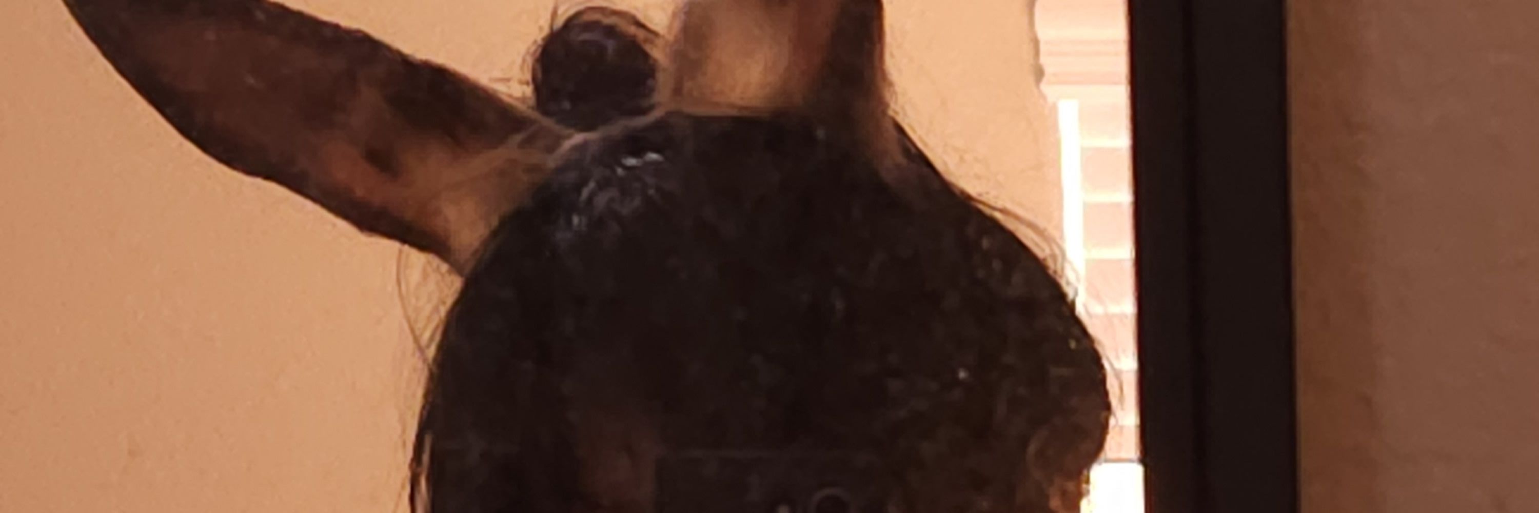 ln