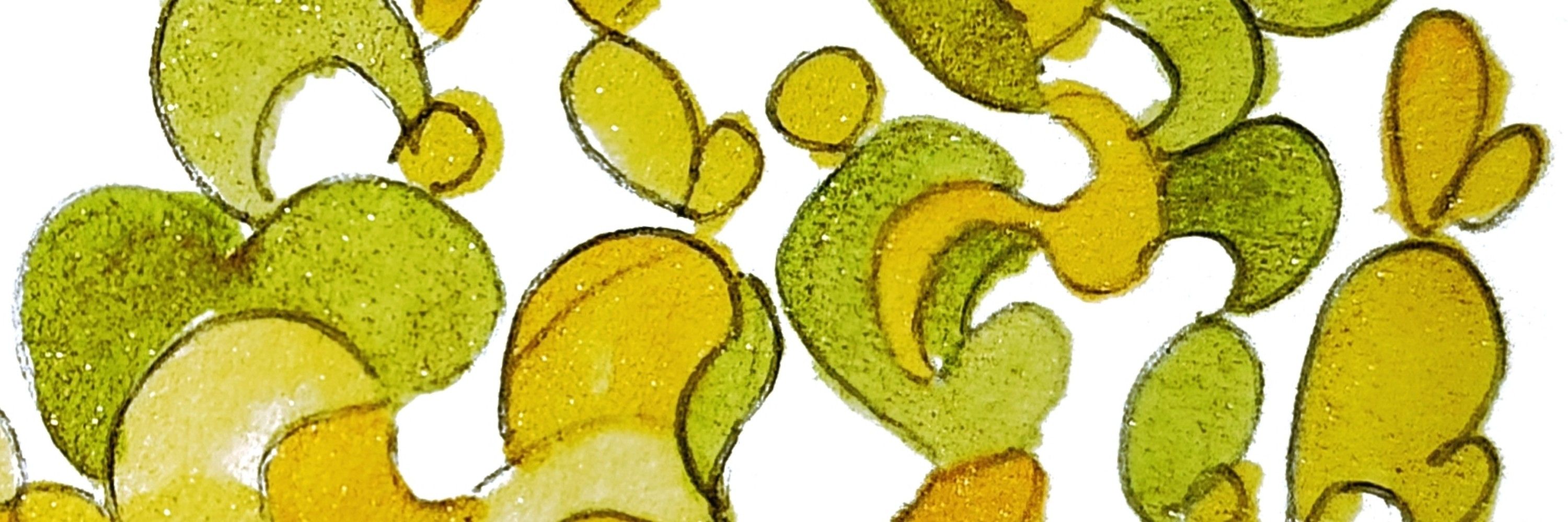 AmoLime