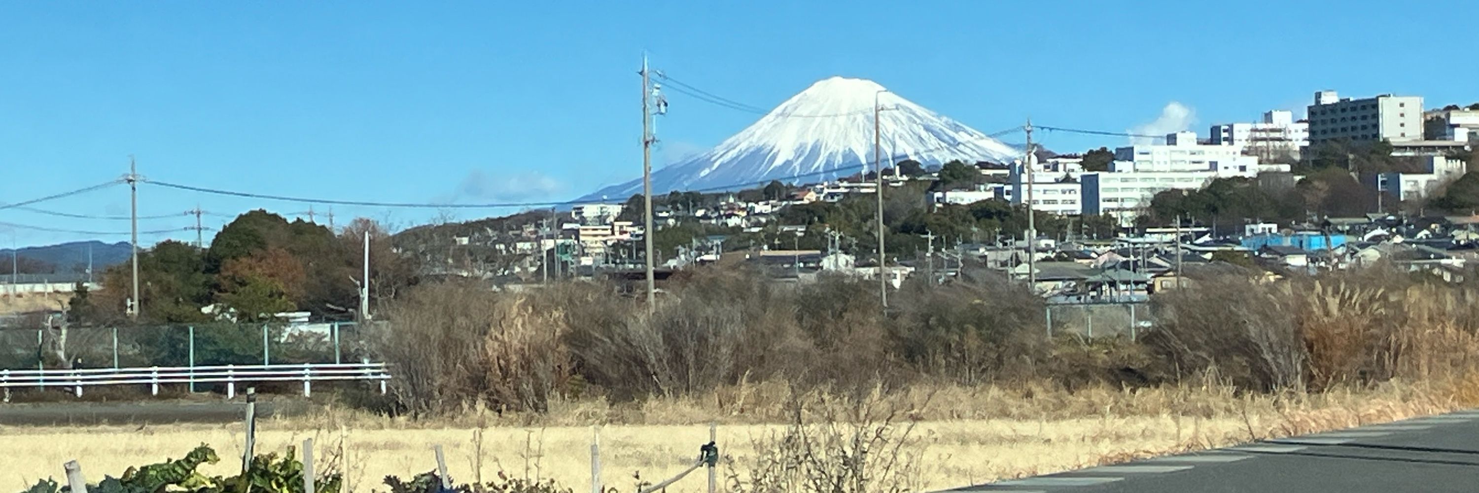 ささみ雨藍🦉