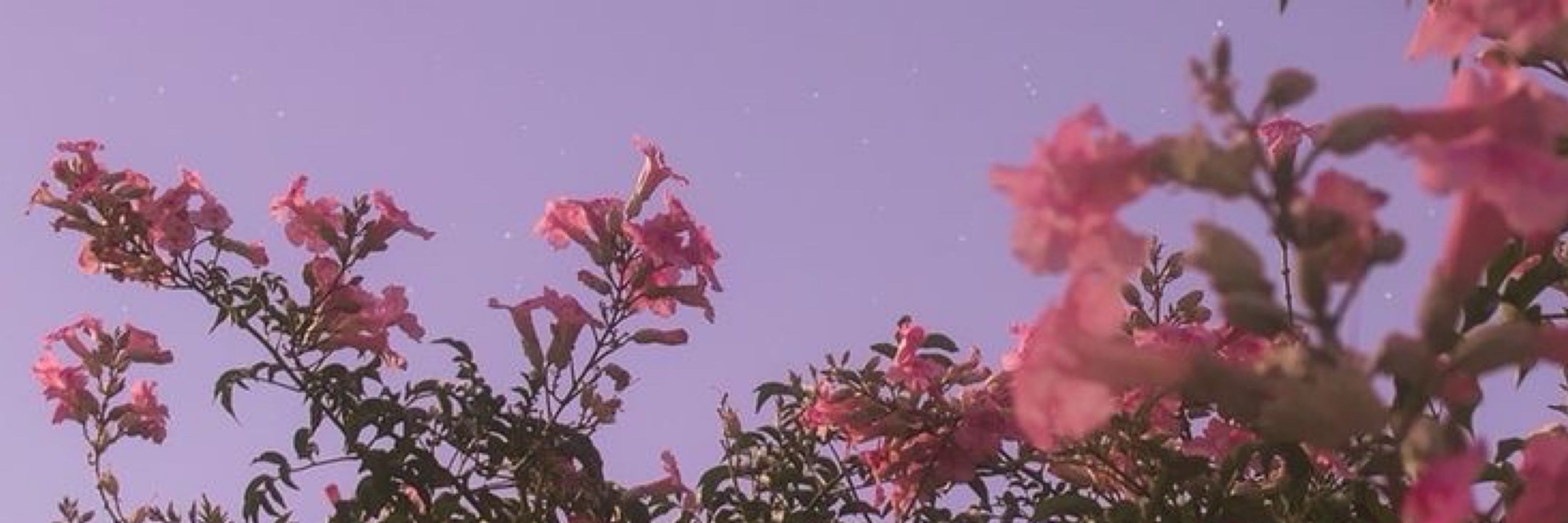 july🌸