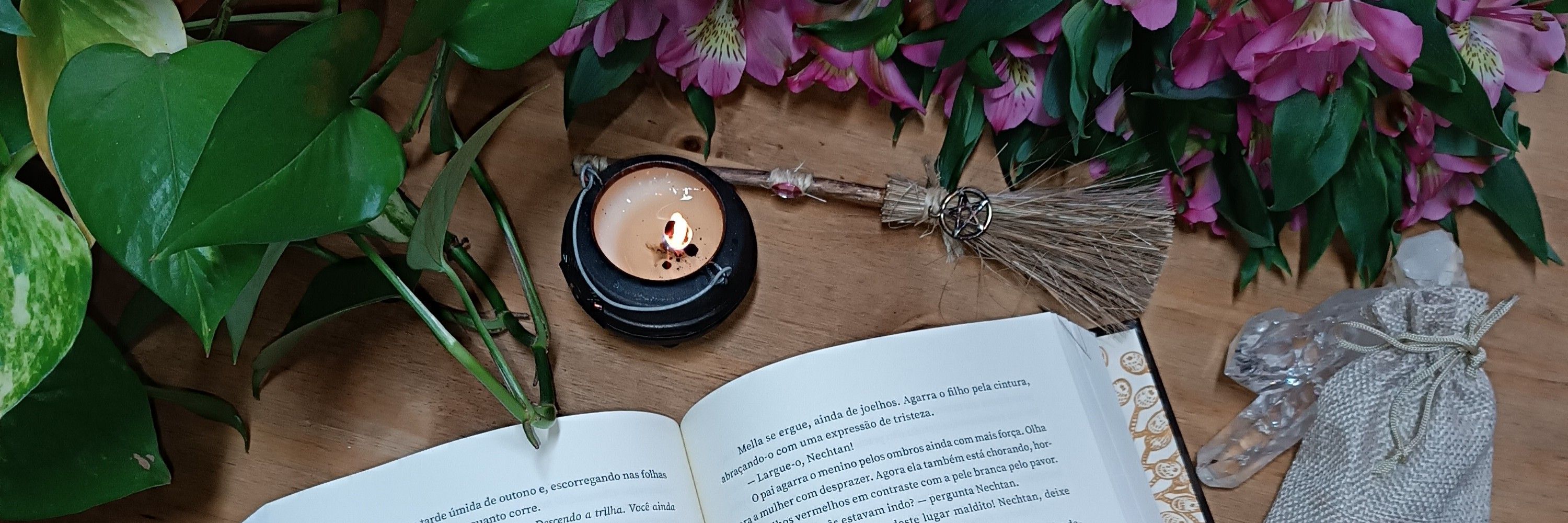 Luiza Fisch - A Bruxa Literária 🪻📖