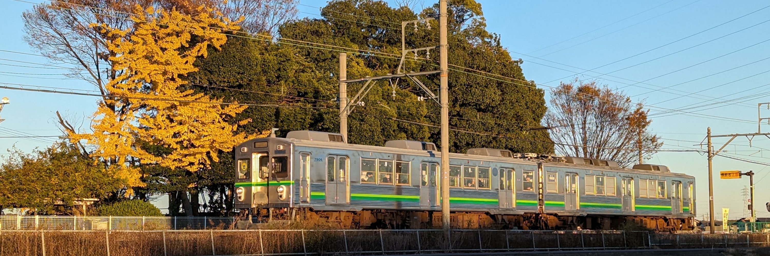 noginomori