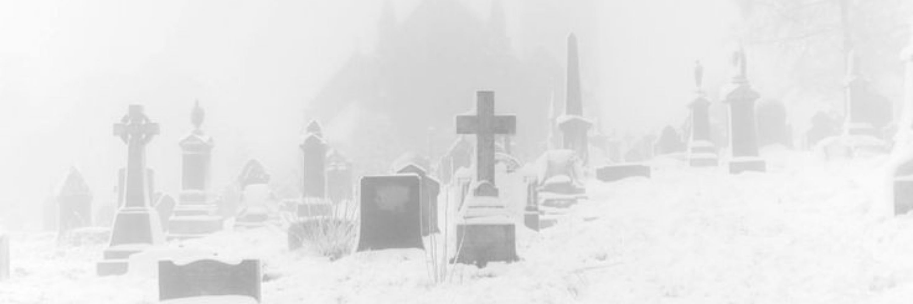 ! † BEL ˙⋆✮ filha dos Ushiten
