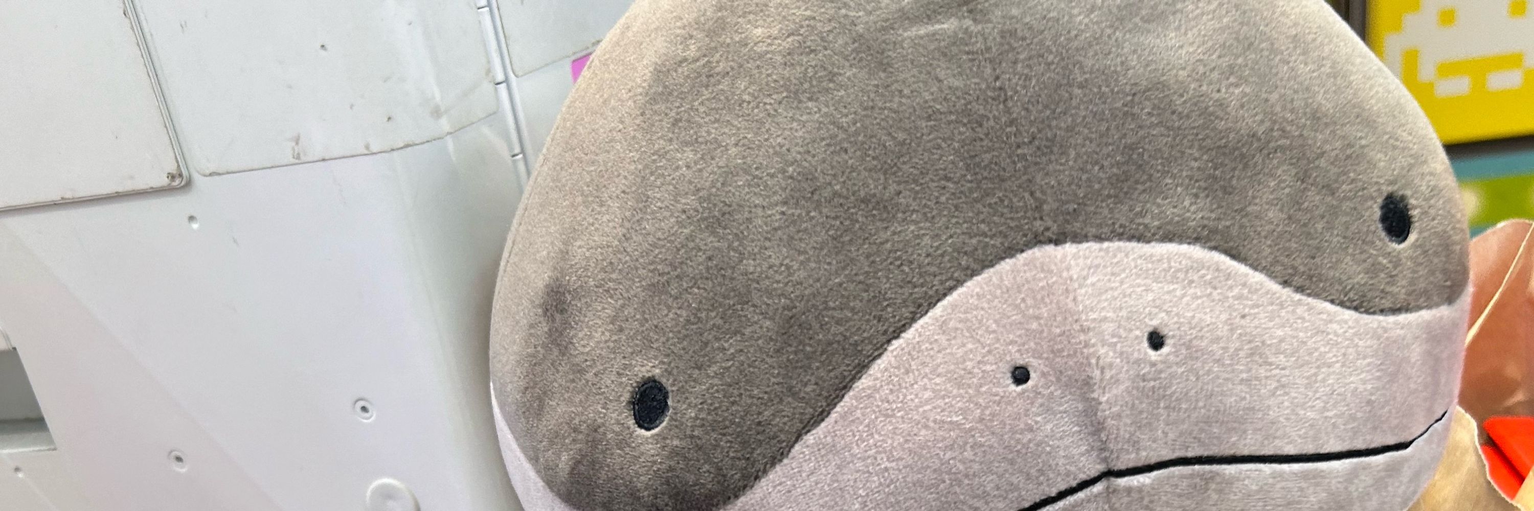 アキハくんだよ