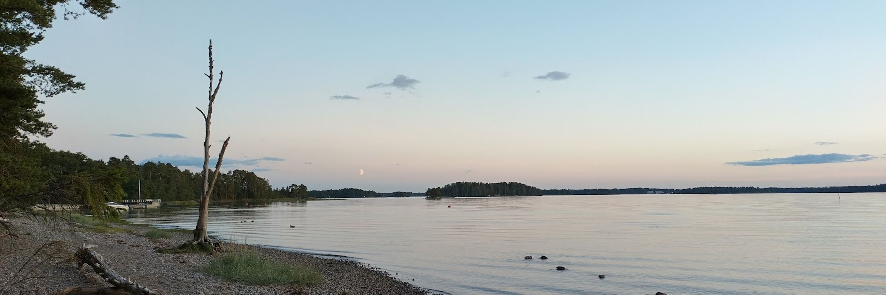Nuukalainen