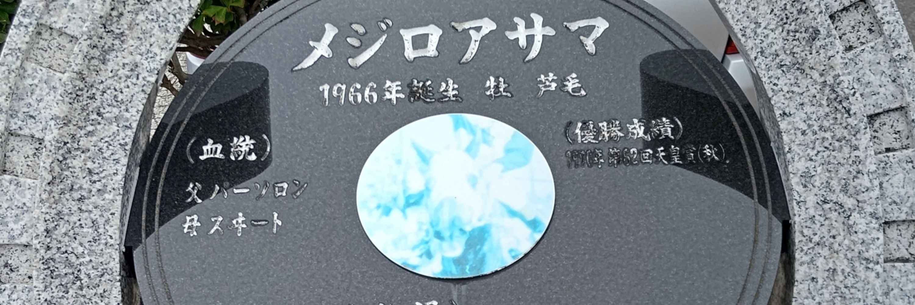 ベルトロ