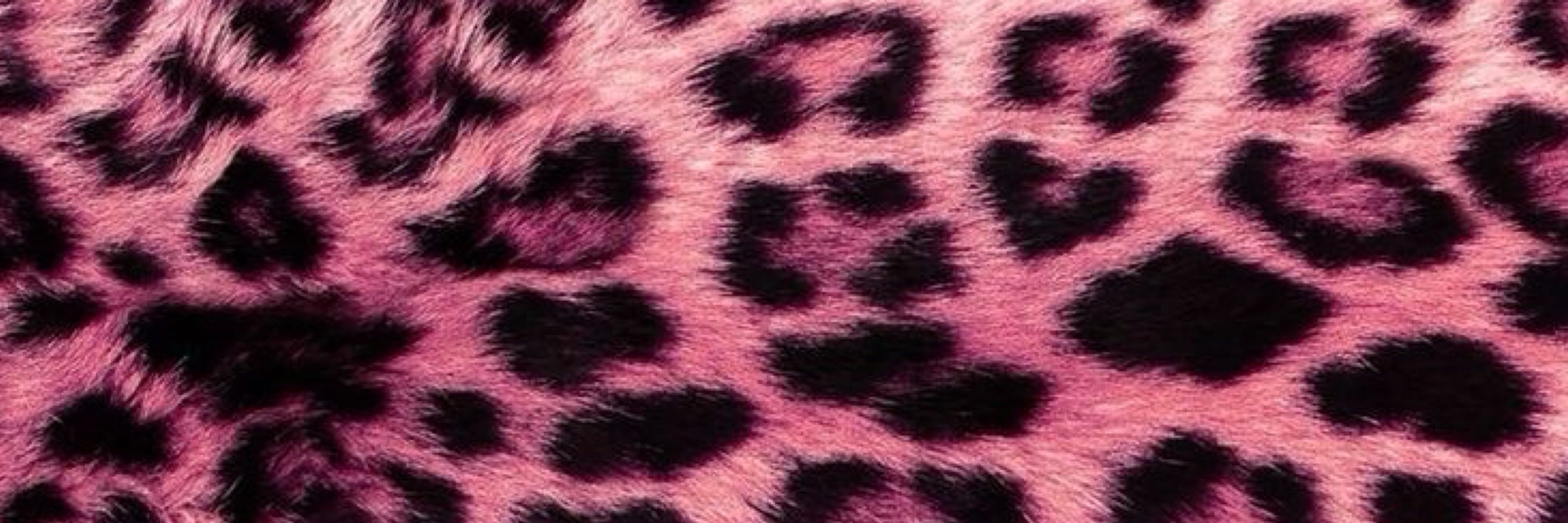 SABRIYA🐆💓🪽!
