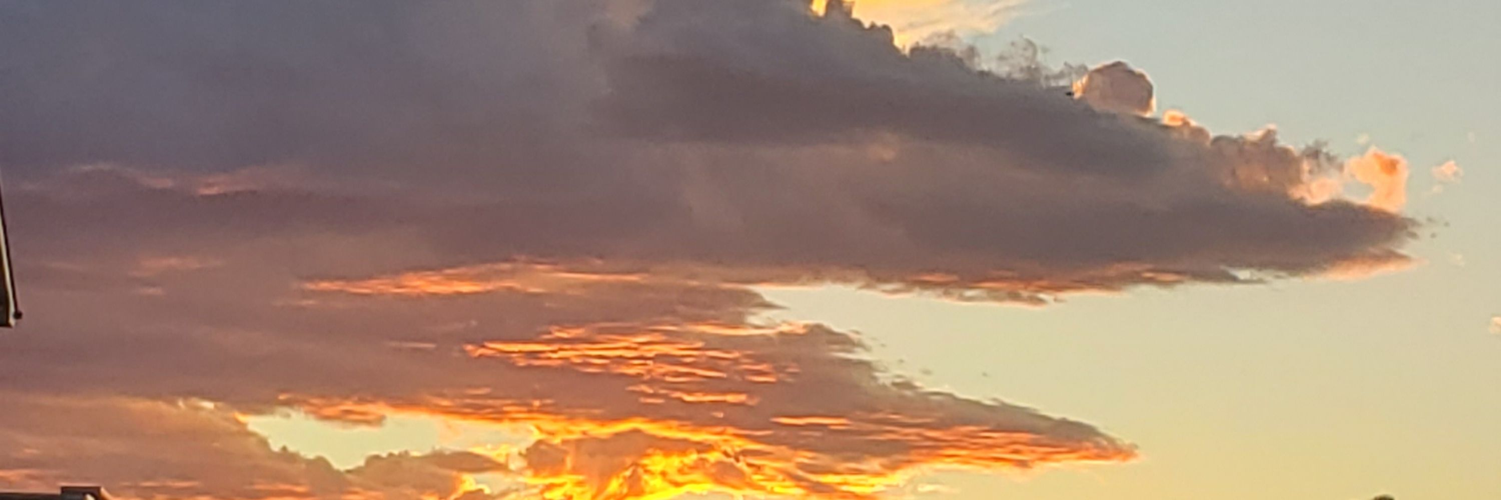 Murphnik 🇨🇦🏳️‍⚧️🏳️‍🌈✌